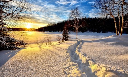 winter-landscape-636634_960_720.jpg